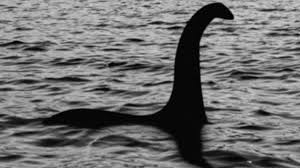 A secret of qualitative research: The Loch Ness monster emerges from the water, but your results do not "emerge" from qualitative data. 